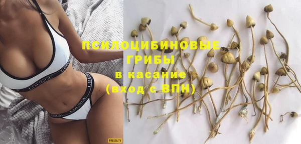 не бодяженный Инсар